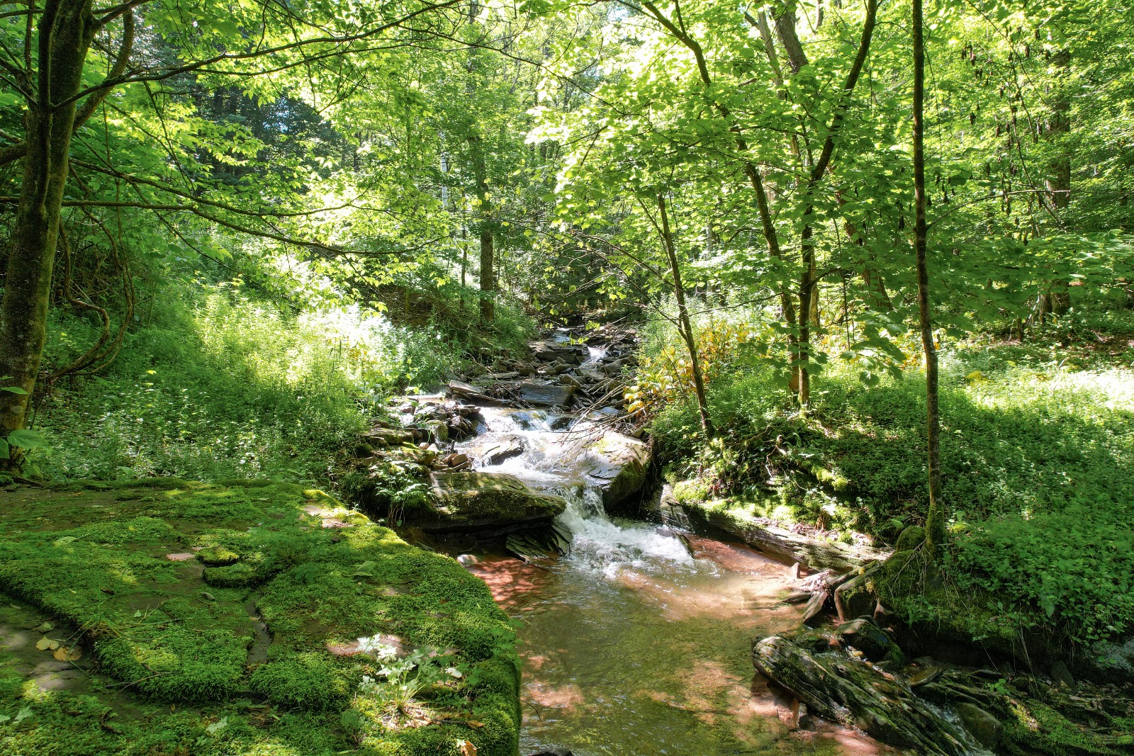 #29 photo, 2560 Chiloway Rd, Roscoe , NY 12776