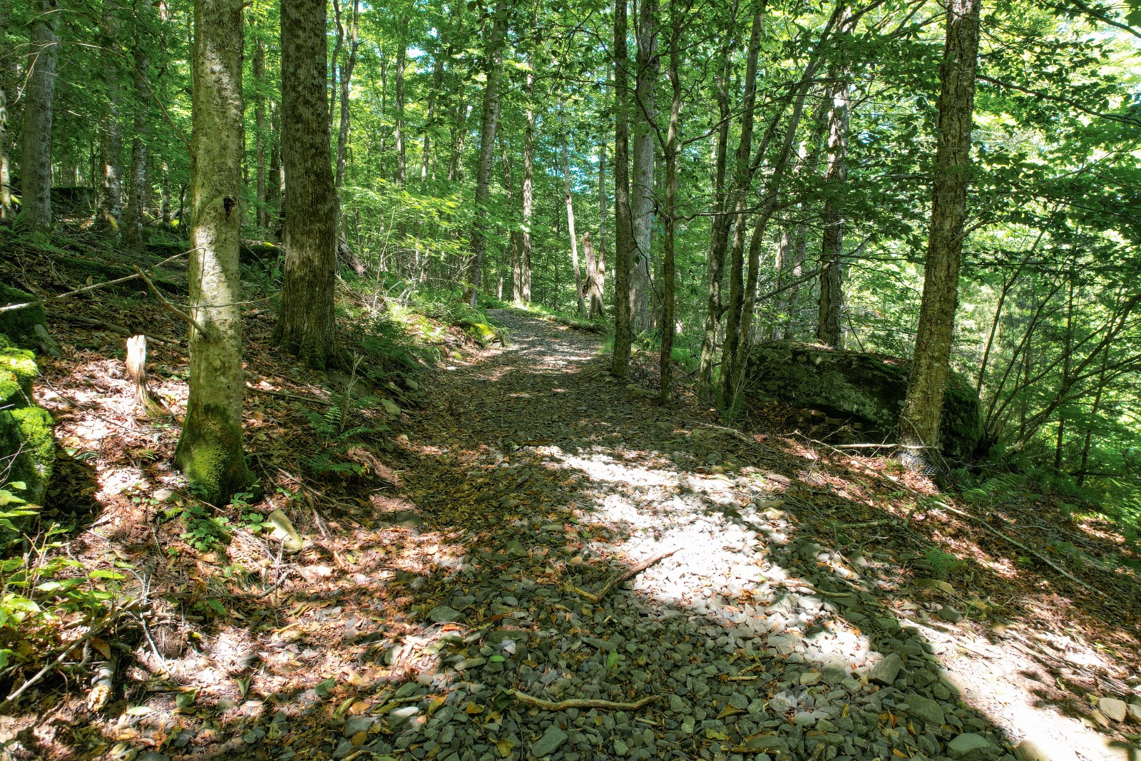 #32 photo, 2560 Chiloway Rd, Roscoe , NY 12776