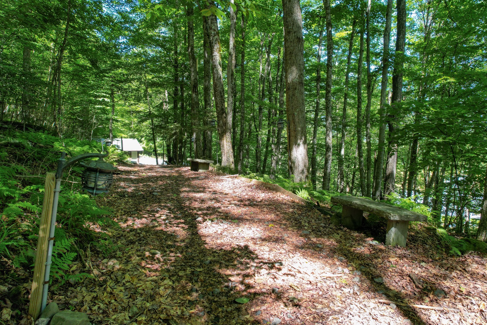 #33 photo, 2560 Chiloway Rd, Roscoe , NY 12776