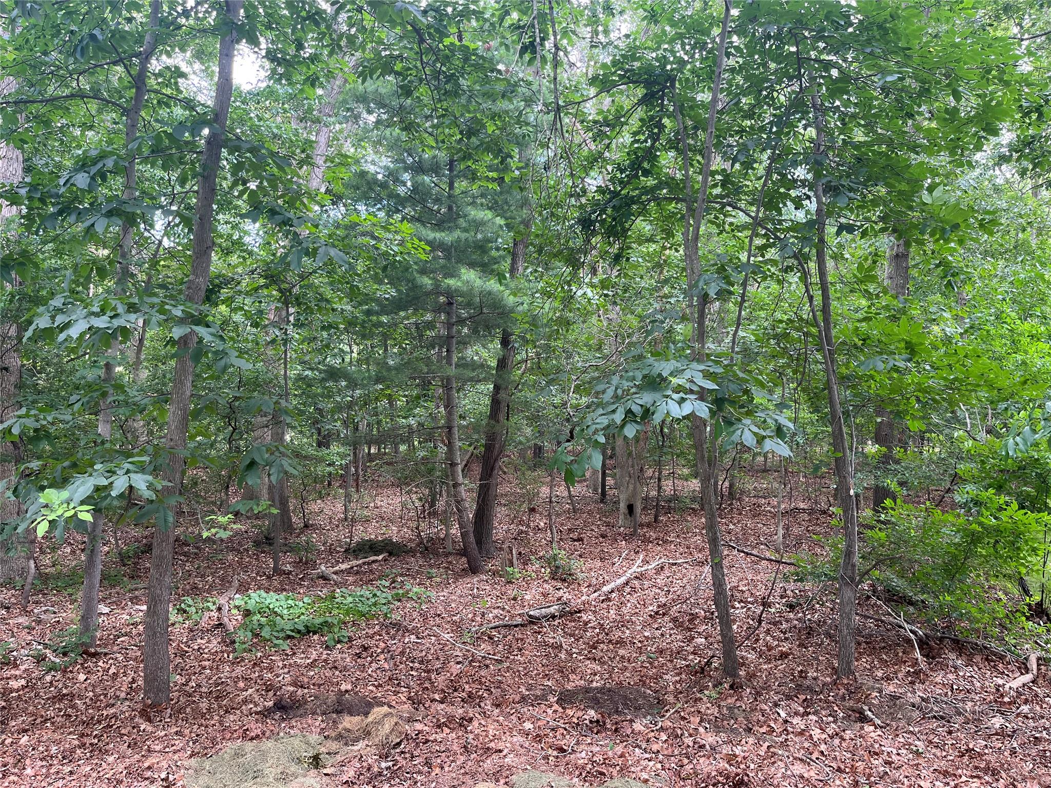 #1 photo, Lot 28 Scout Trail, Ridge , NY 11961