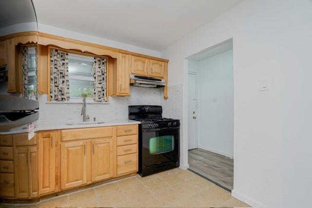 #4 photo, 524 Schenck Avenue, 布鲁克林 Brooklyn , NY 11207