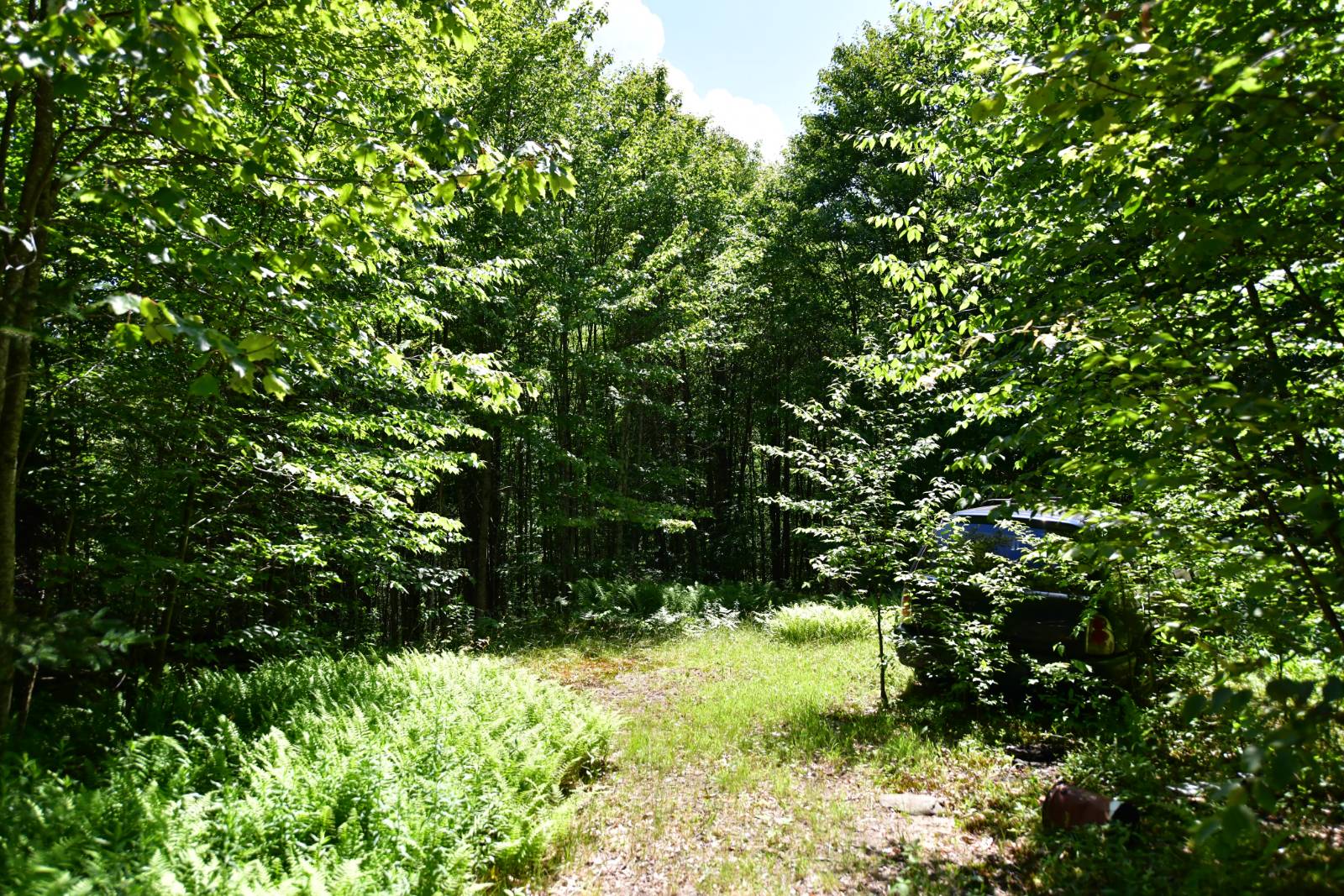 #1 photo, 0 County Hwy 7, #411.-2-2, Colchester , NY 13755