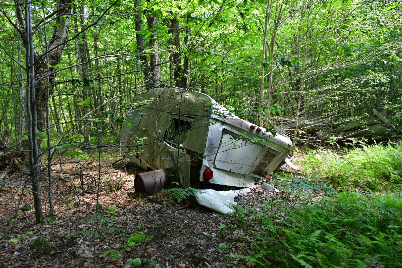 #11 photo, 0 County Hwy 7, #411.-2-2, Colchester , NY 13755