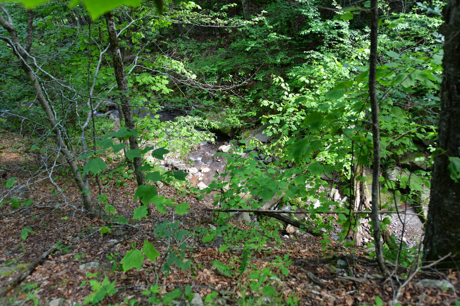 #16 photo, 0 County Hwy 7, #411.-2-2, Colchester , NY 13755