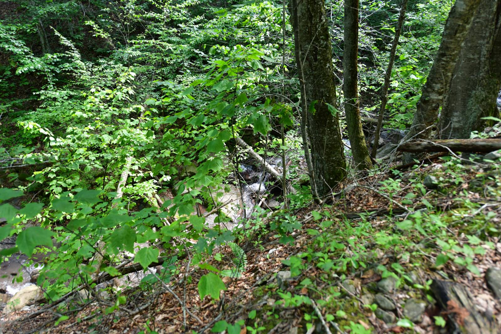 #17 photo, 0 County Hwy 7, #411.-2-2, Colchester , NY 13755