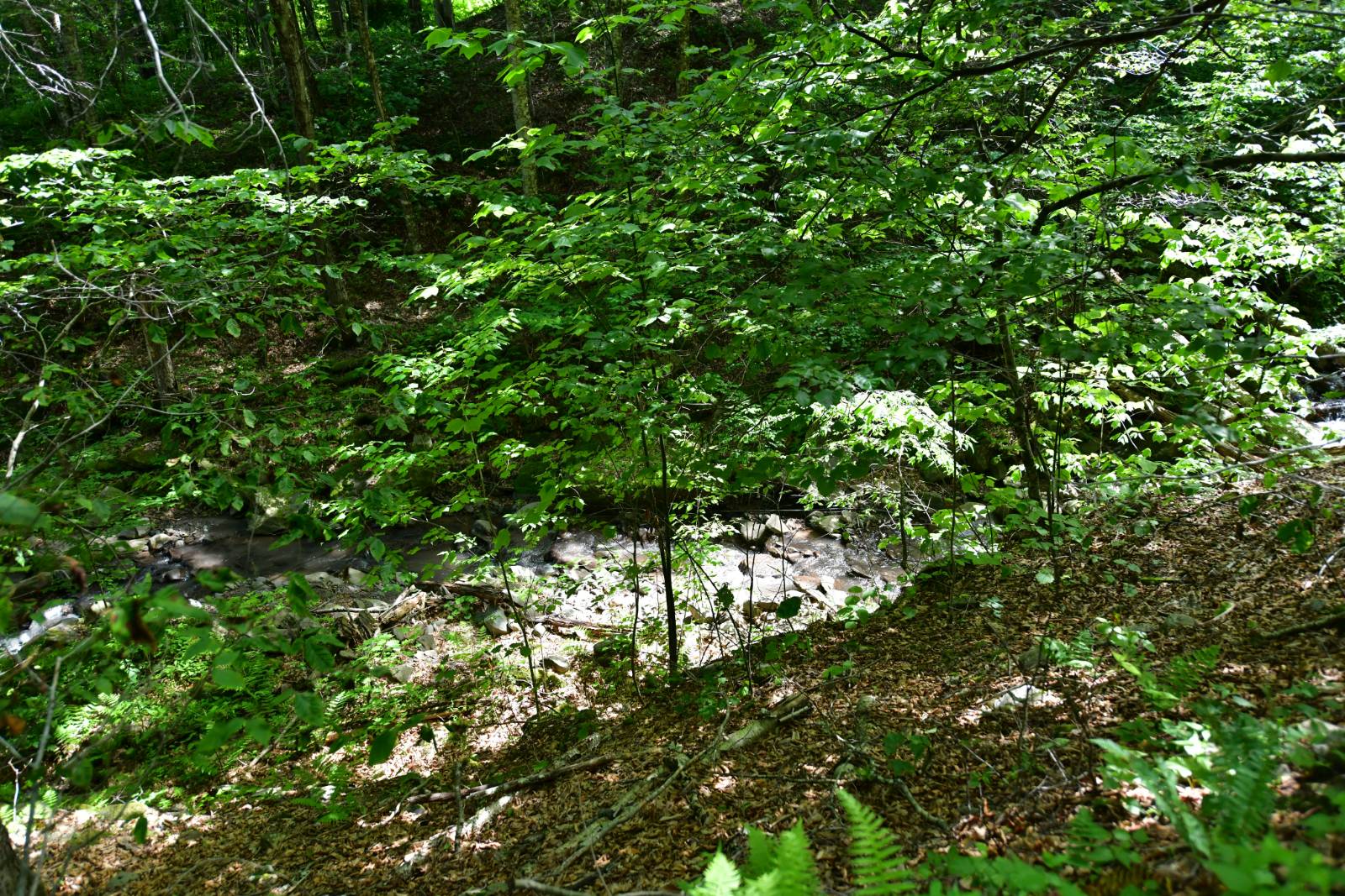 #18 photo, 0 County Hwy 7, #411.-2-2, Colchester , NY 13755