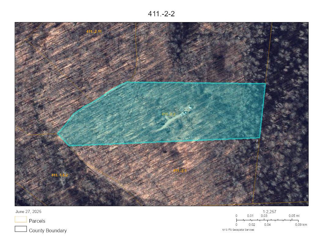 #19 photo, 0 County Hwy 7, #411.-2-2, Colchester , NY 13755