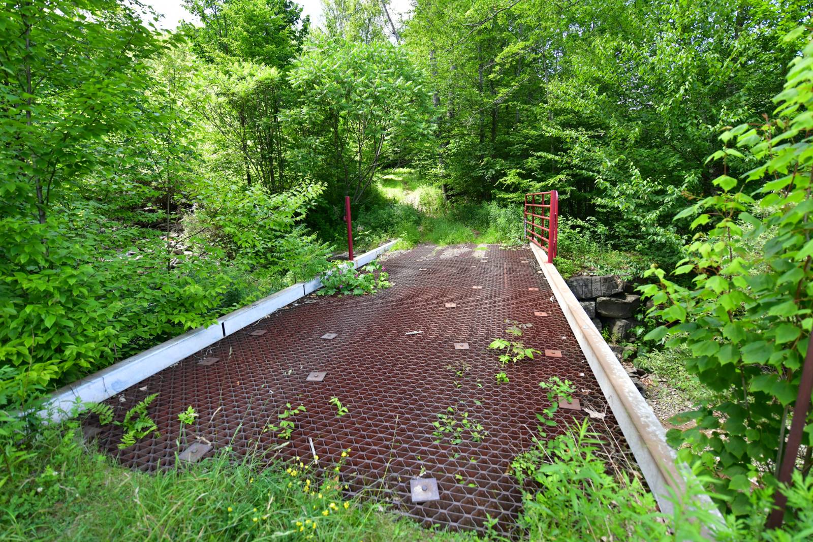 #2 photo, 0 County Hwy 7, #411.-2-2, Colchester , NY 13755