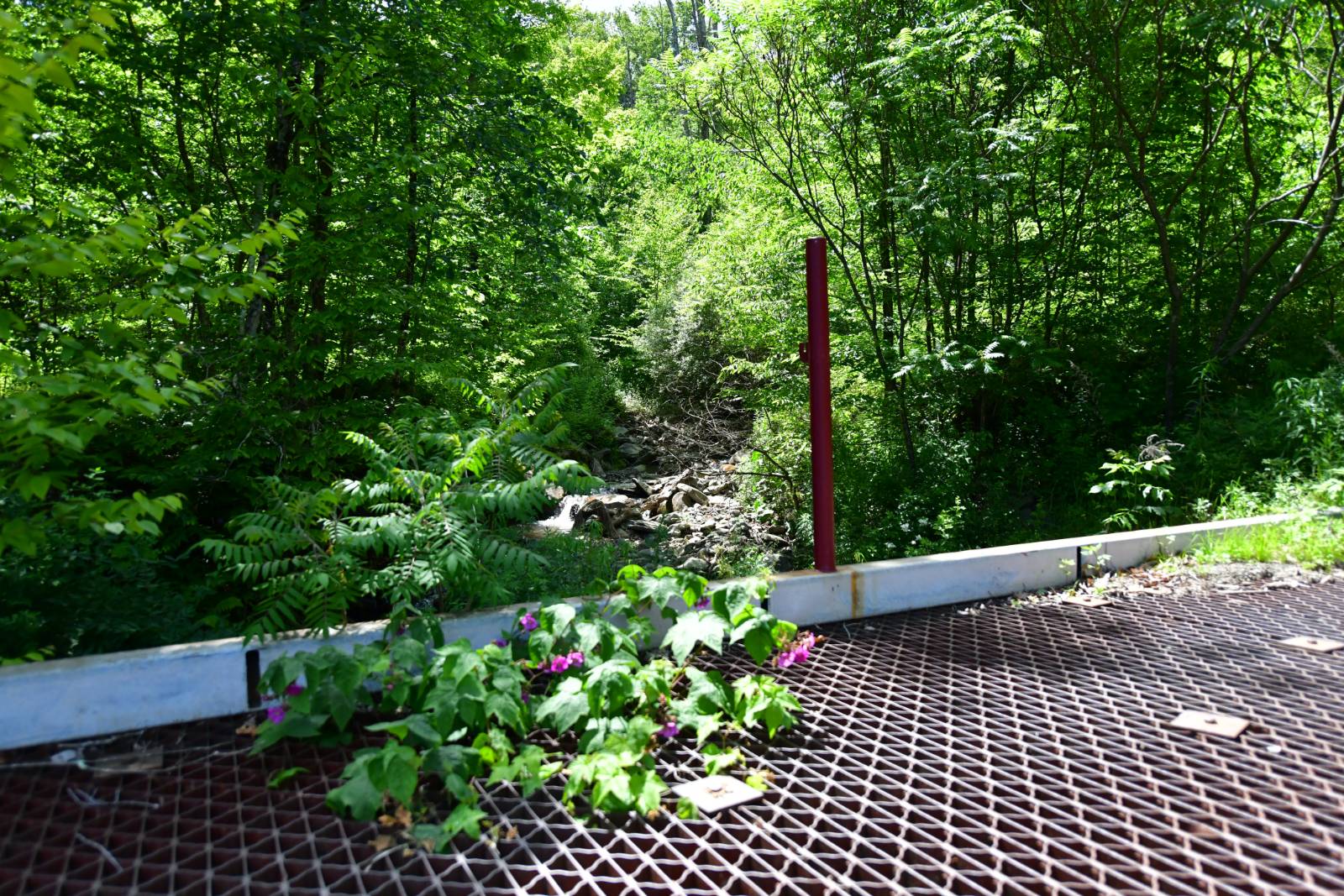 #3 photo, 0 County Hwy 7, #411.-2-2, Colchester , NY 13755