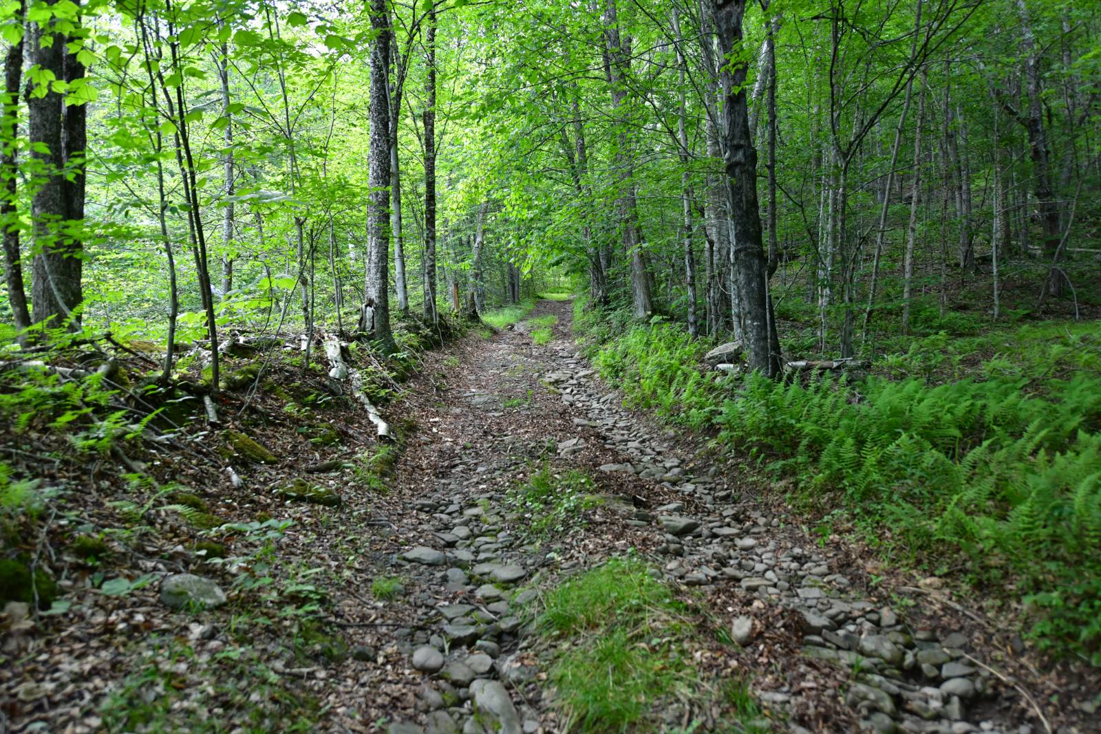 #4 photo, 0 County Hwy 7, #411.-2-2, Colchester , NY 13755