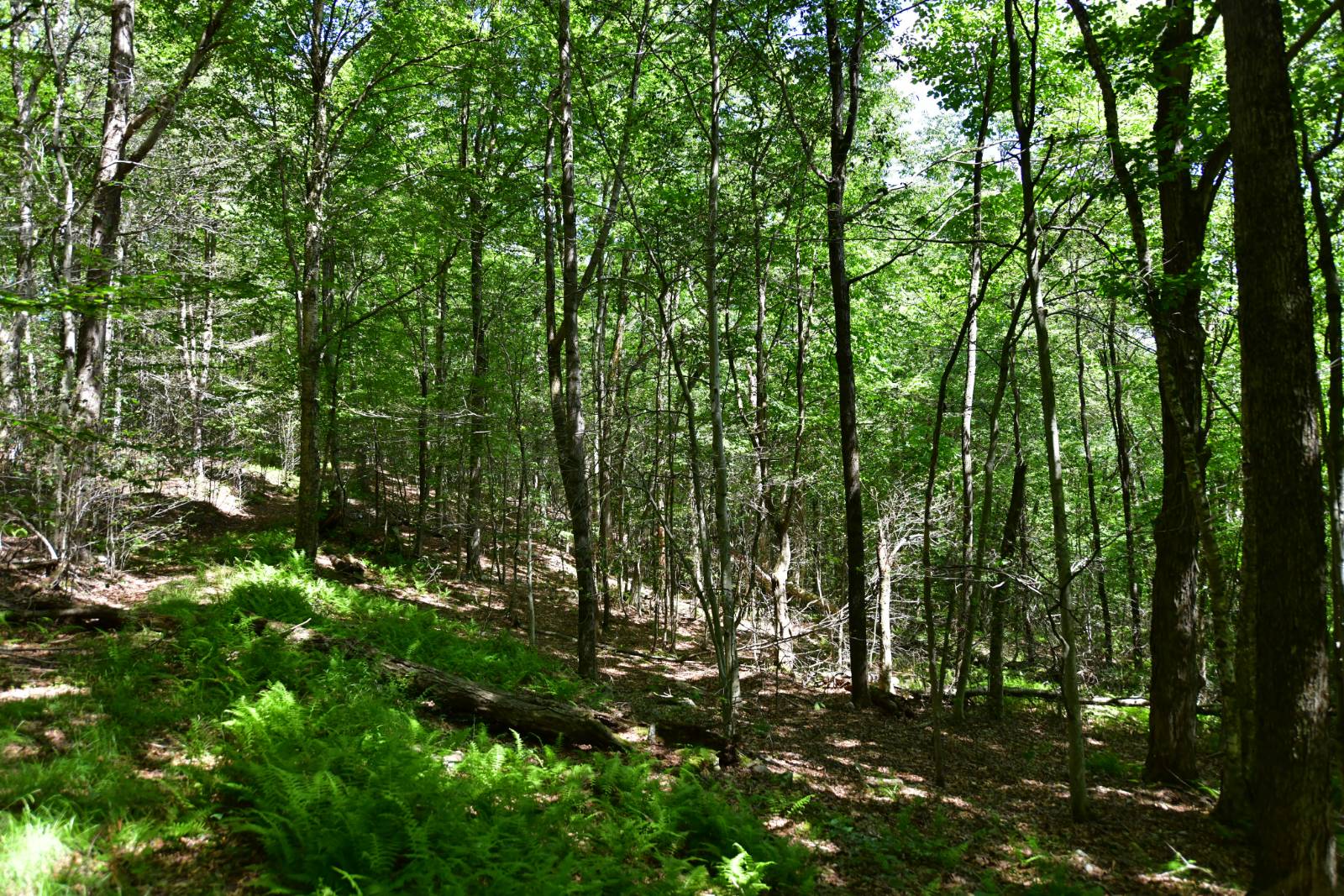 #7 photo, 0 County Hwy 7, #411.-2-2, Colchester , NY 13755