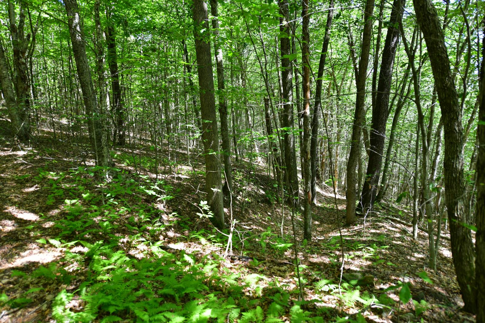 #8 photo, 0 County Hwy 7, #411.-2-2, Colchester , NY 13755