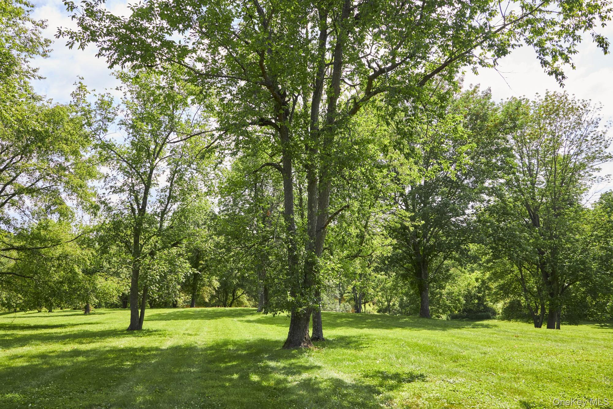 #17 photo, 143 Bedell, Poughkeepsie , NY 12603