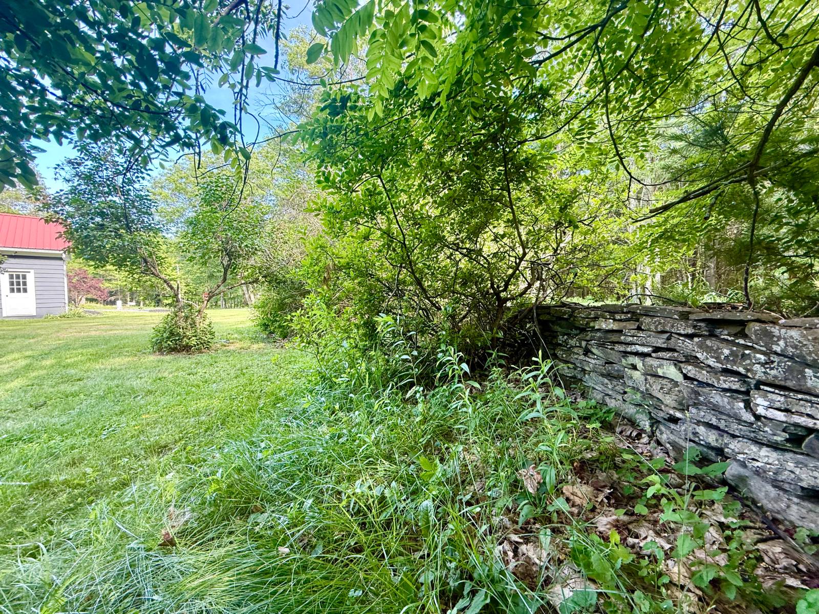 #15 photo, 20 Biegel Rd, Prattsville , NY 12468