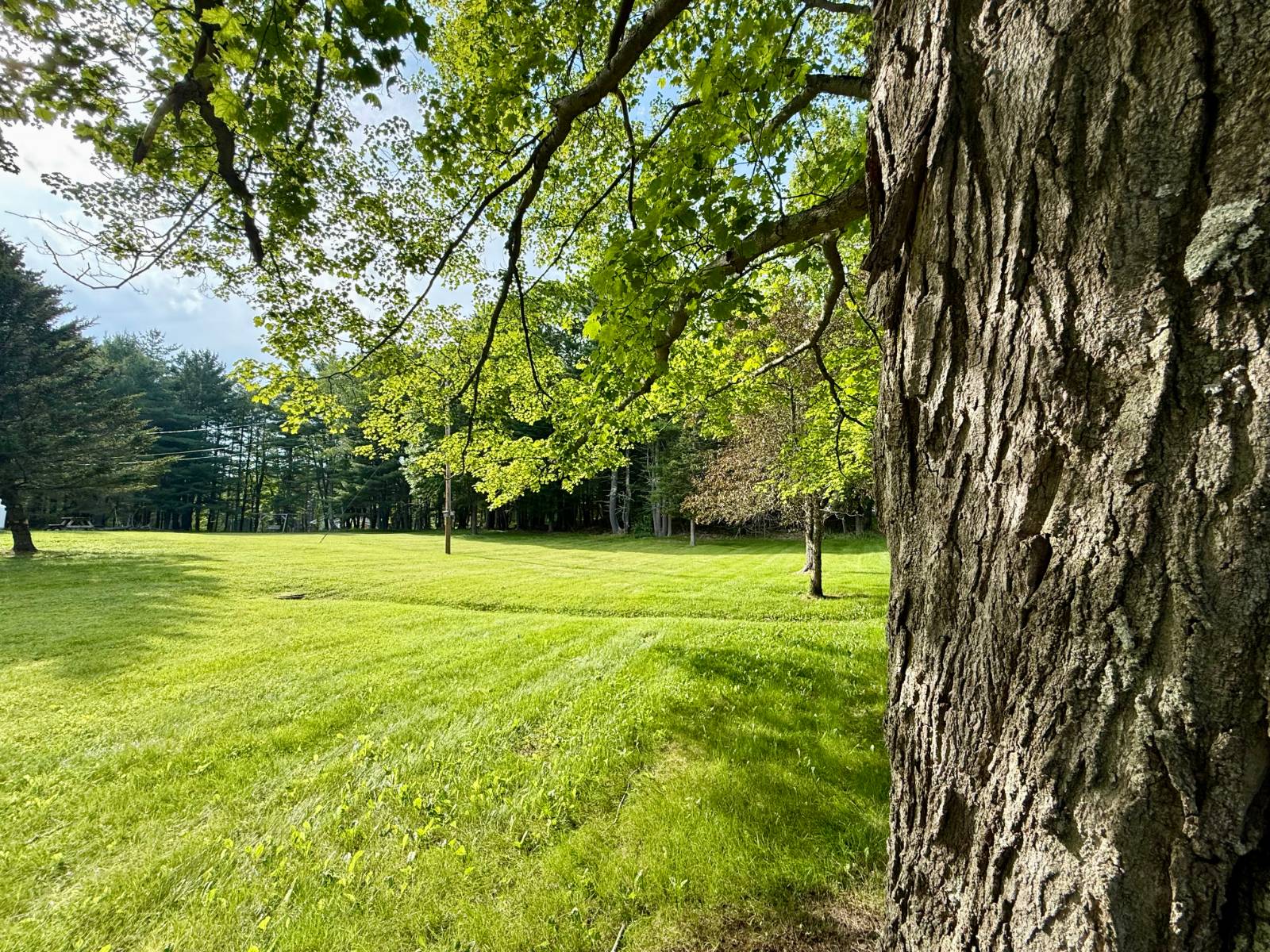 #16 photo, 20 Biegel Rd, Prattsville , NY 12468