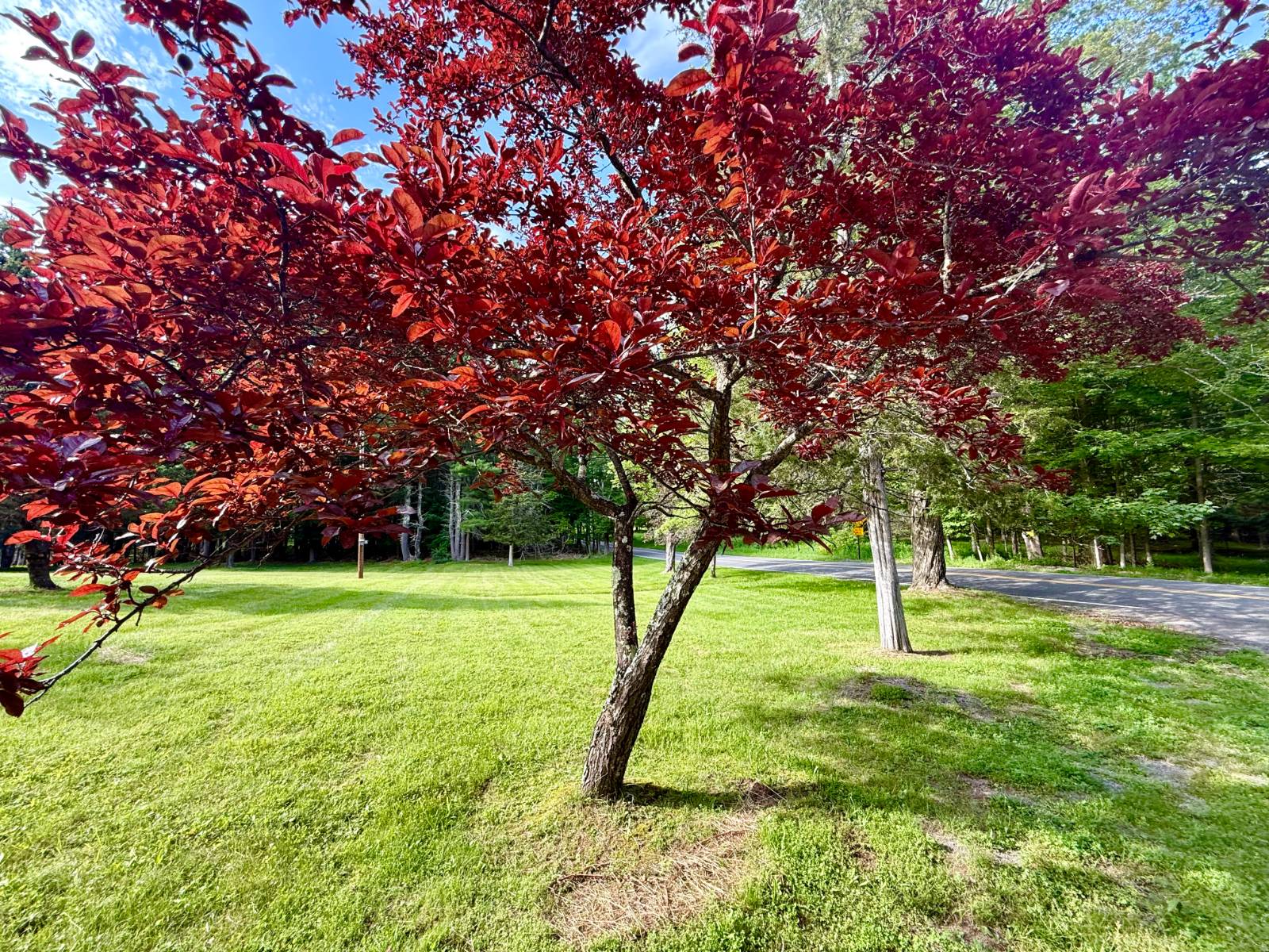 #20 photo, 20 Biegel Rd, Prattsville , NY 12468