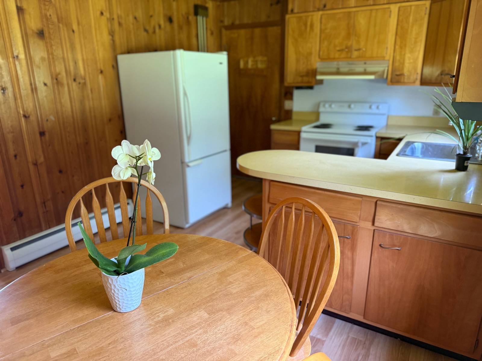 #26 photo, 20 Biegel Rd, Prattsville , NY 12468