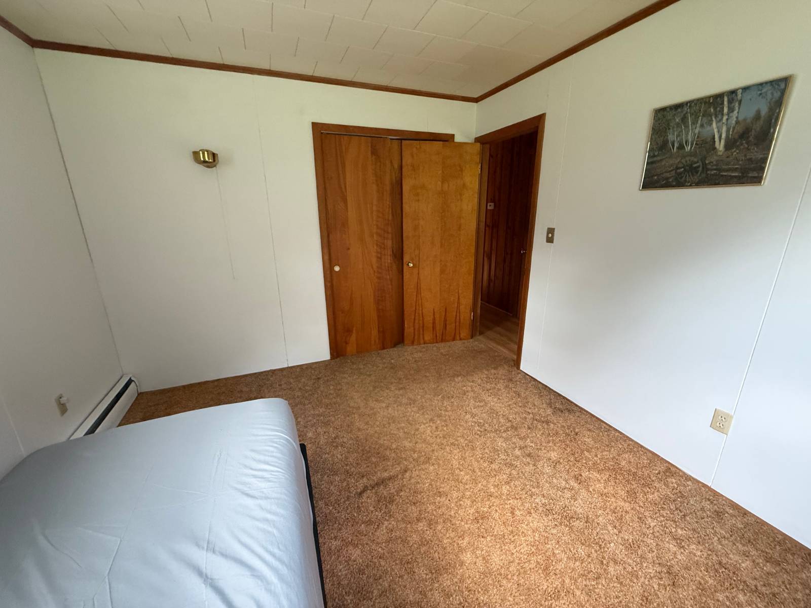 #30 photo, 20 Biegel Rd, Prattsville , NY 12468