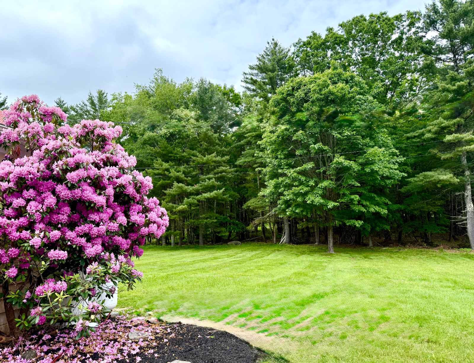 #38 photo, 20 Biegel Rd, Prattsville , NY 12468