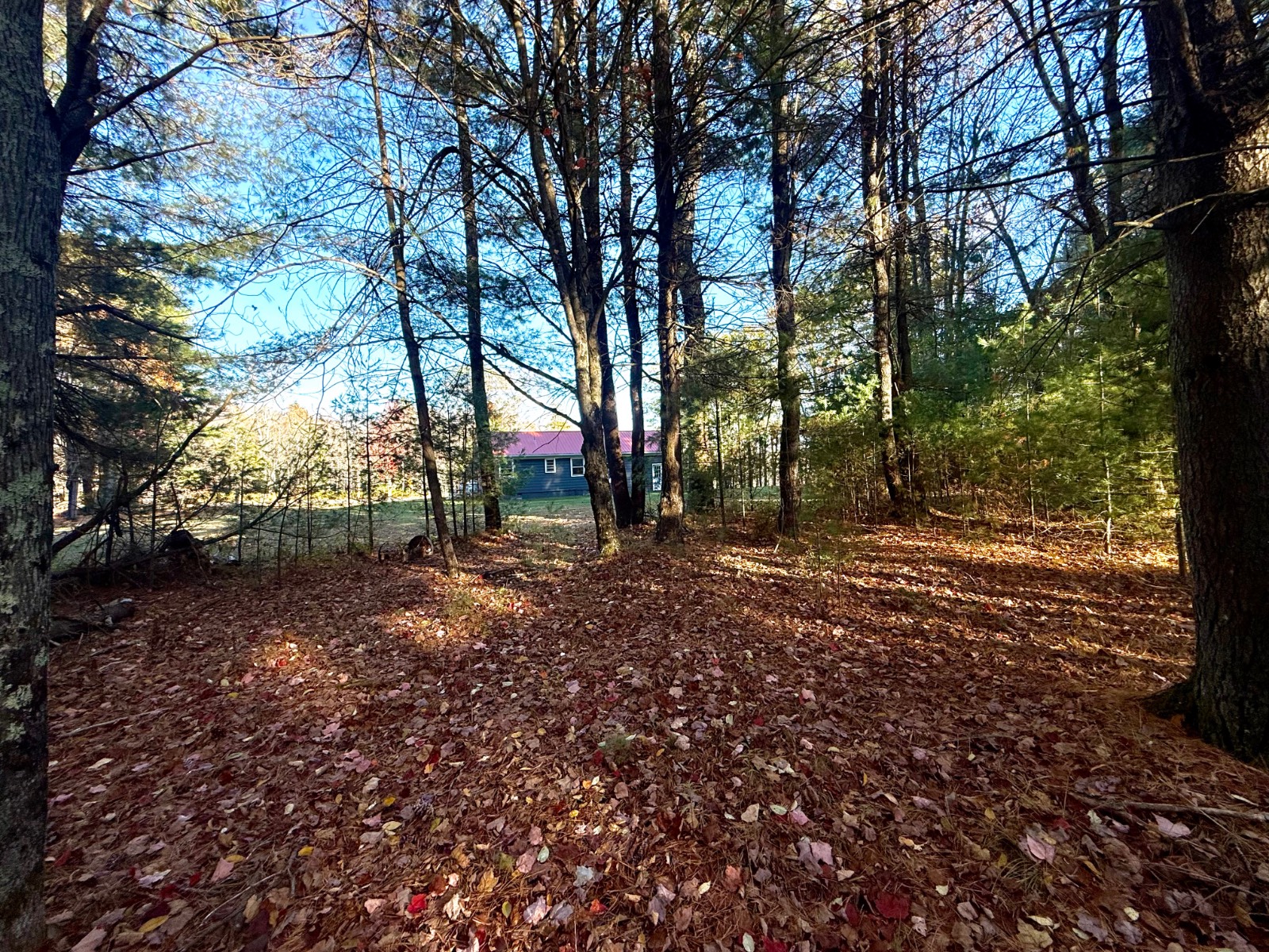 #4 photo, 20 Biegel Rd, Prattsville , NY 12468