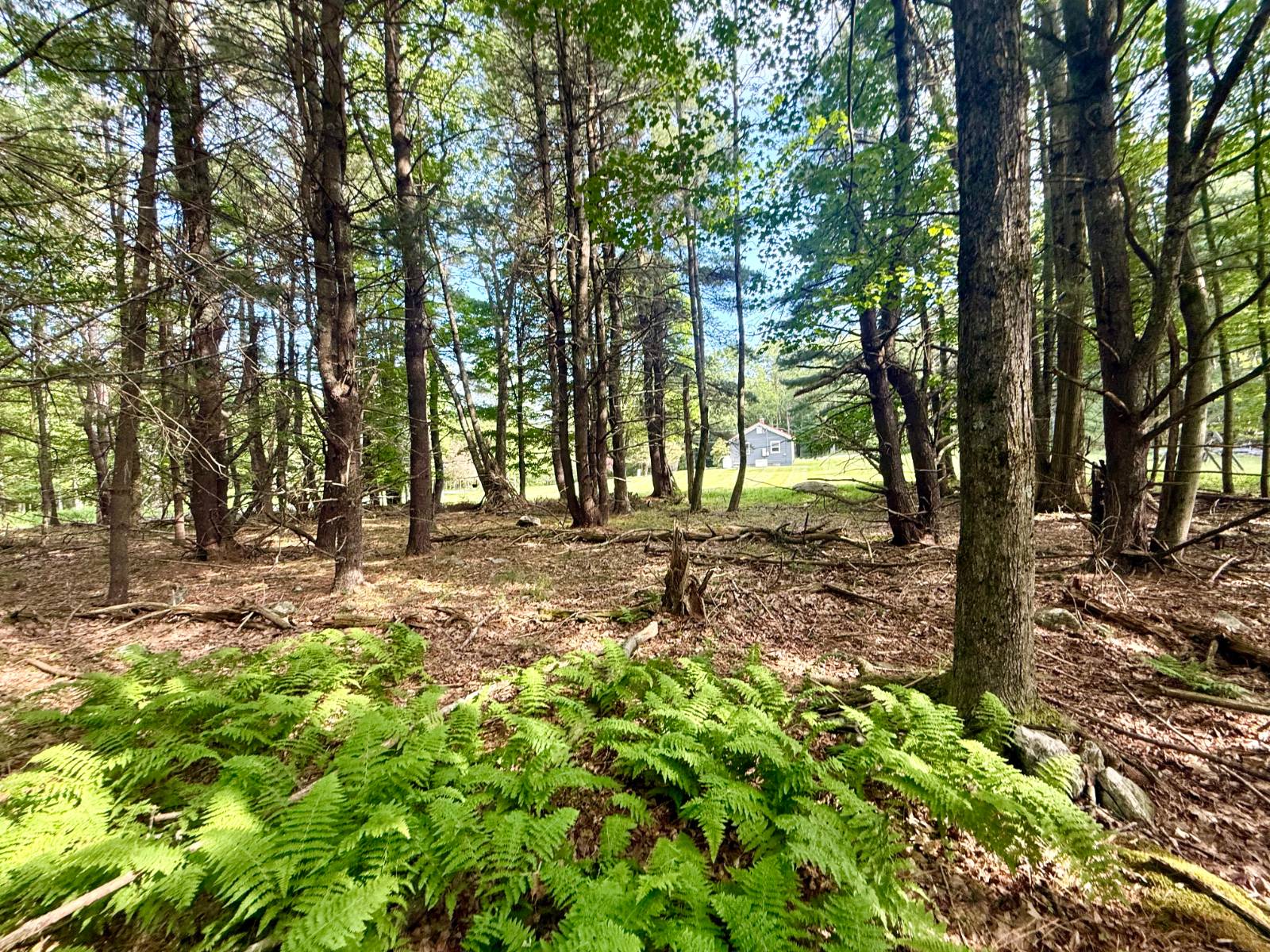 #40 photo, 20 Biegel Rd, Prattsville , NY 12468