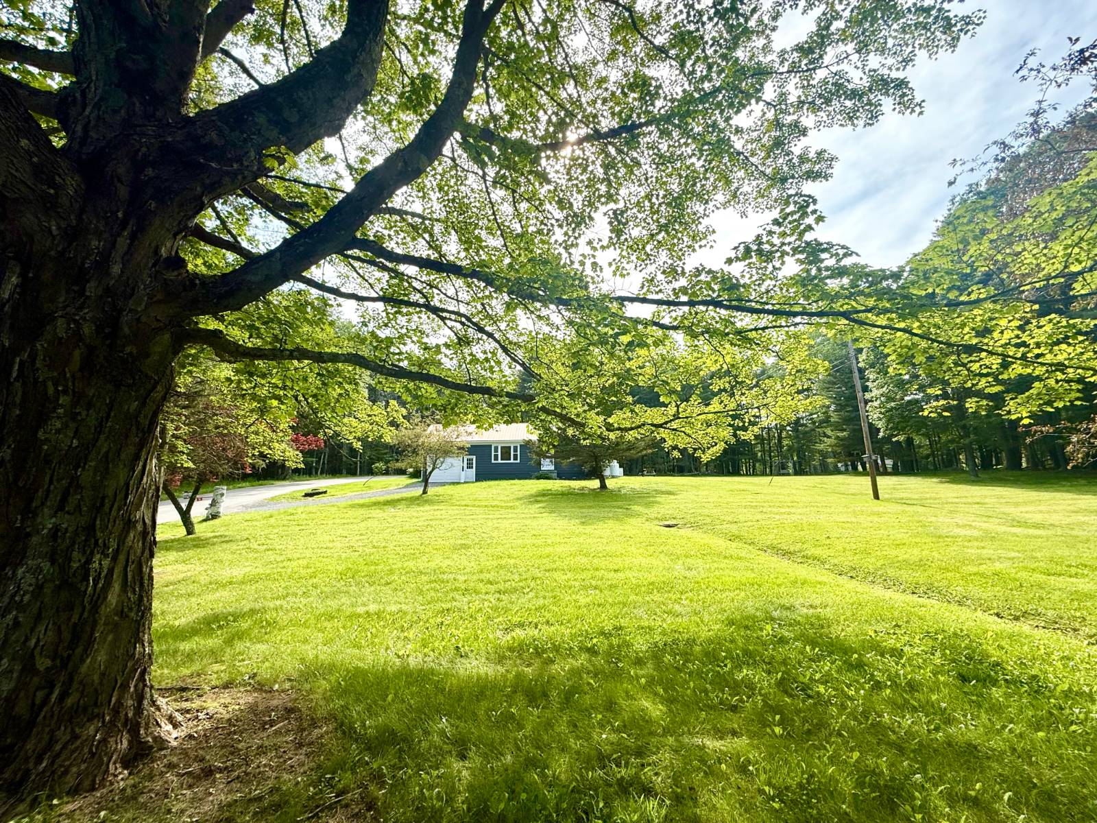 #42 photo, 20 Biegel Rd, Prattsville , NY 12468