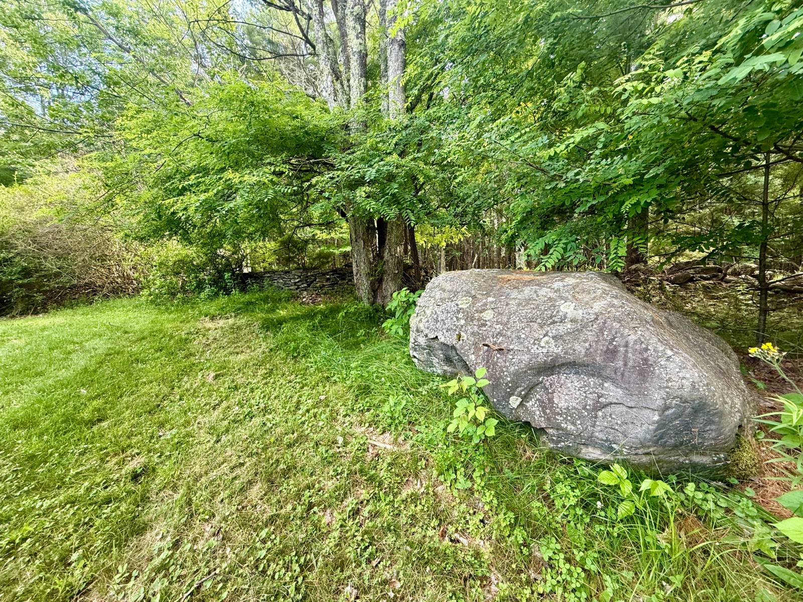 #46 photo, 20 Biegel Rd, Prattsville , NY 12468