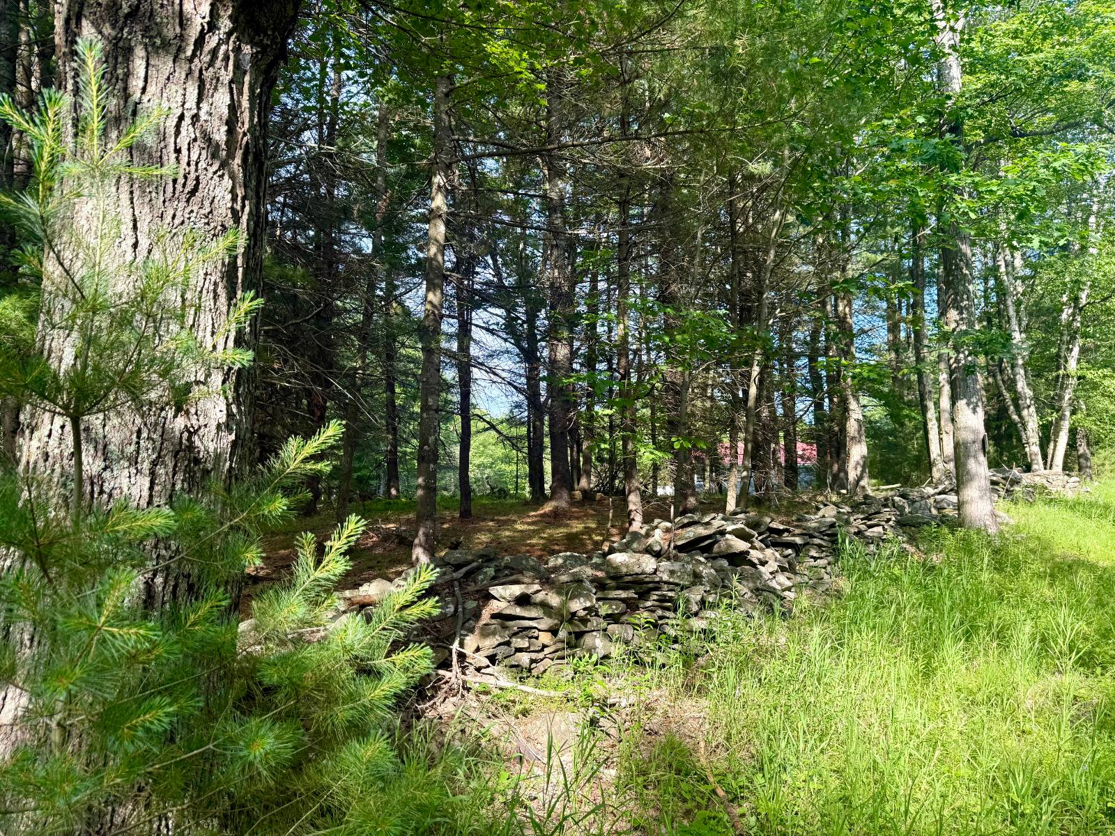 #48 photo, 20 Biegel Rd, Prattsville , NY 12468