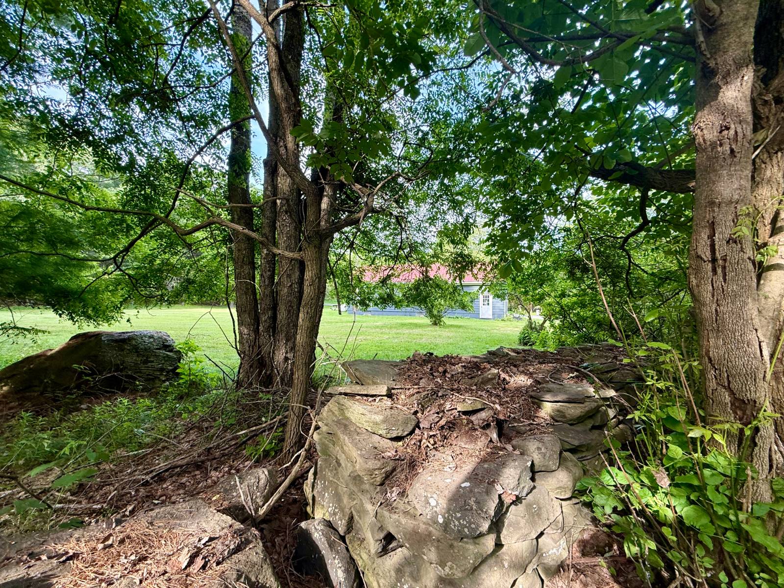 #51 photo, 20 Biegel Rd, Prattsville , NY 12468