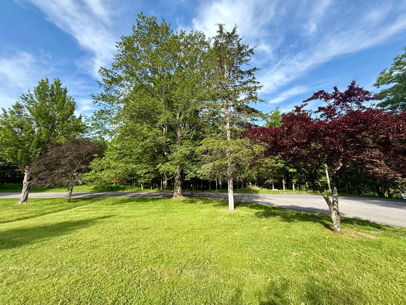 #52 photo, 20 Biegel Rd, Prattsville , NY 12468