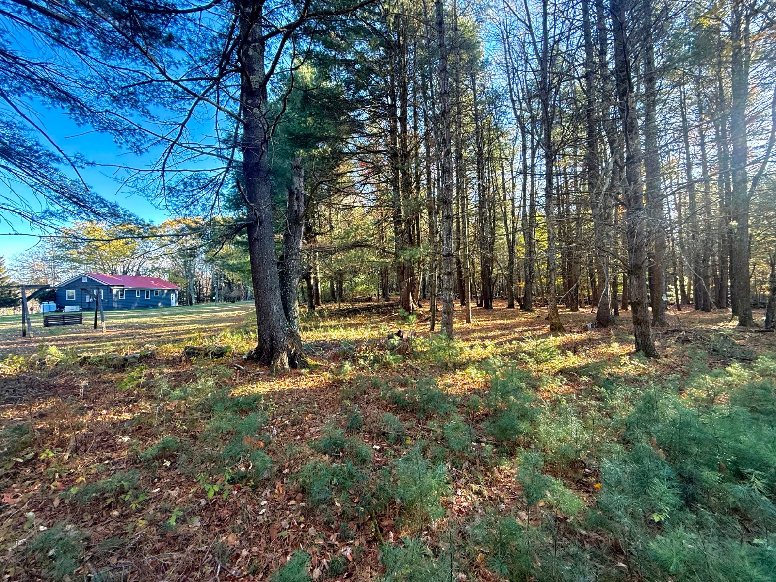 #59 photo, 20 Biegel Rd, Prattsville , NY 12468