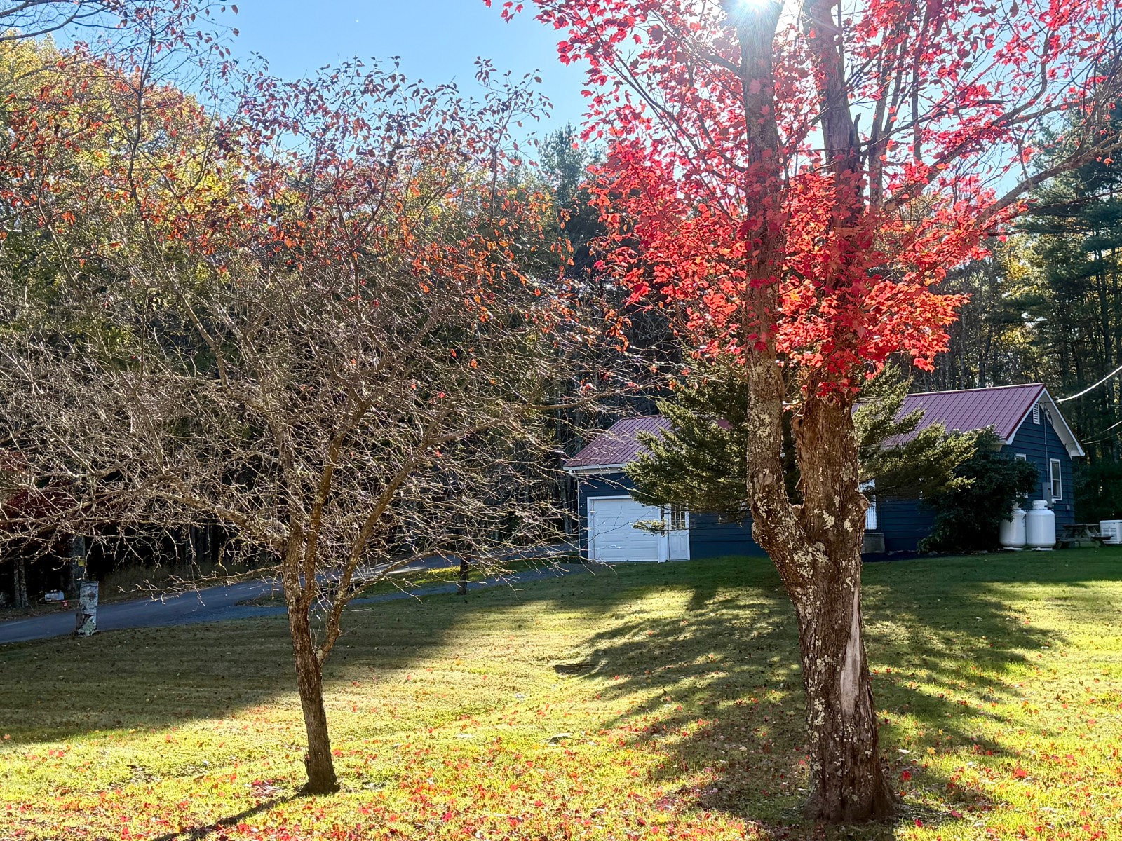 #60 photo, 20 Biegel Rd, Prattsville , NY 12468