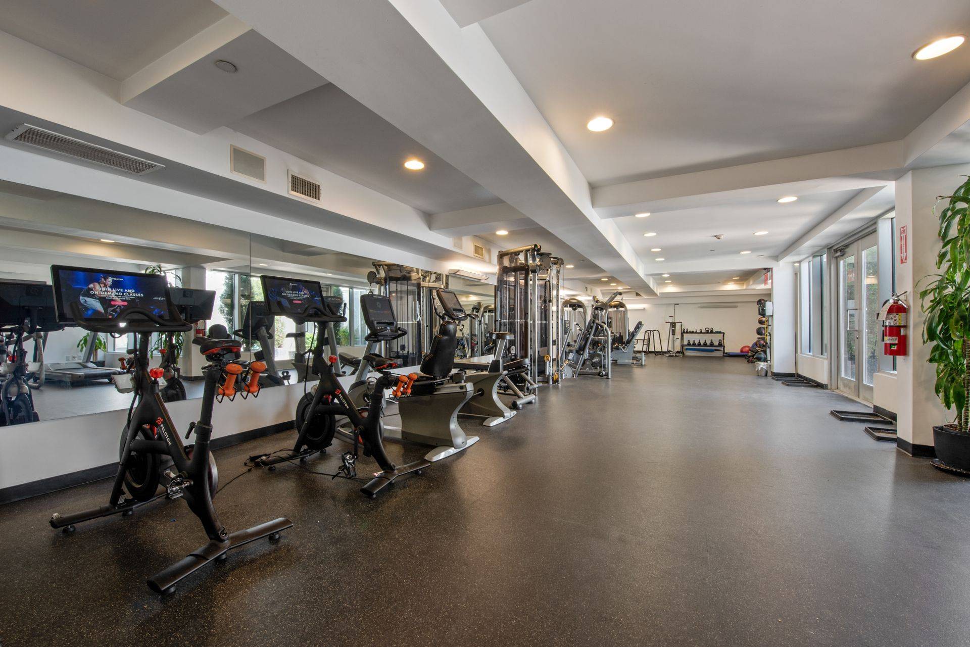 #10 photo, 135 N 11th Street, Williamsburg , NY 11249-1498