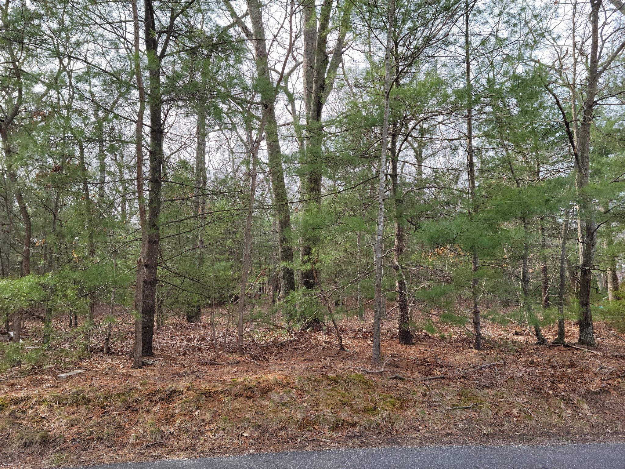 #1 photo, Lake Terrace, Middle Island , NY 11953