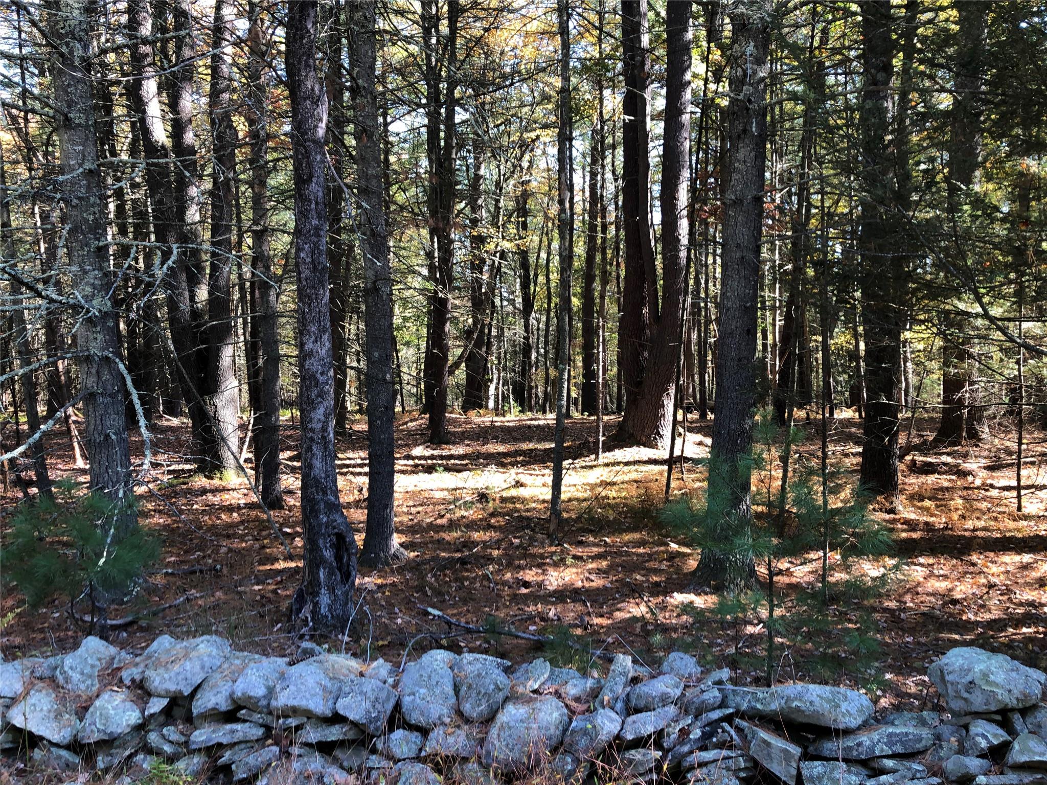 #1 photo, Lot 1 Van Tuyl Road, Barryville , NY 12719