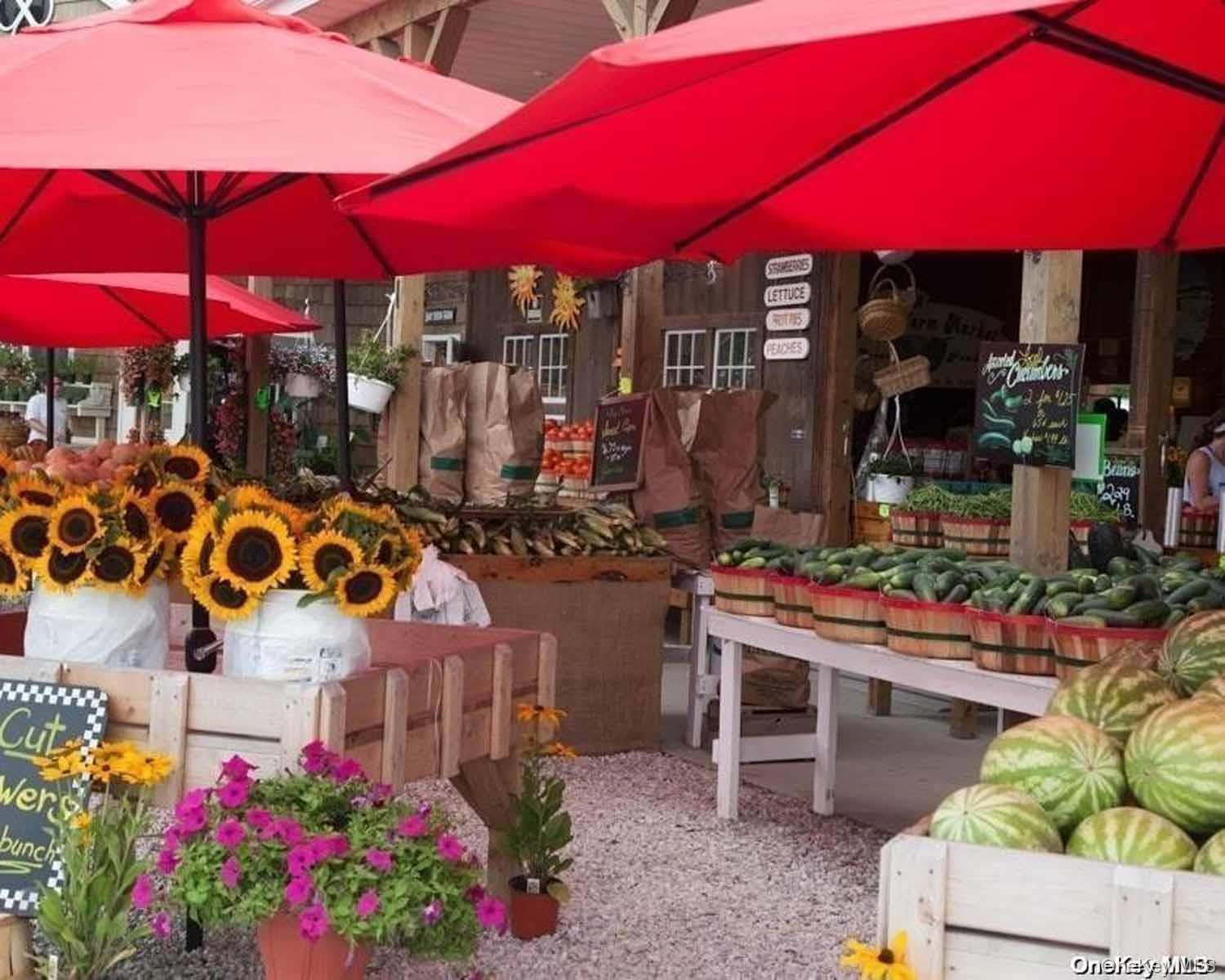 #20 photo, 64230 County Road 48 Road, サフォーク郡 Greenport , NY 11944