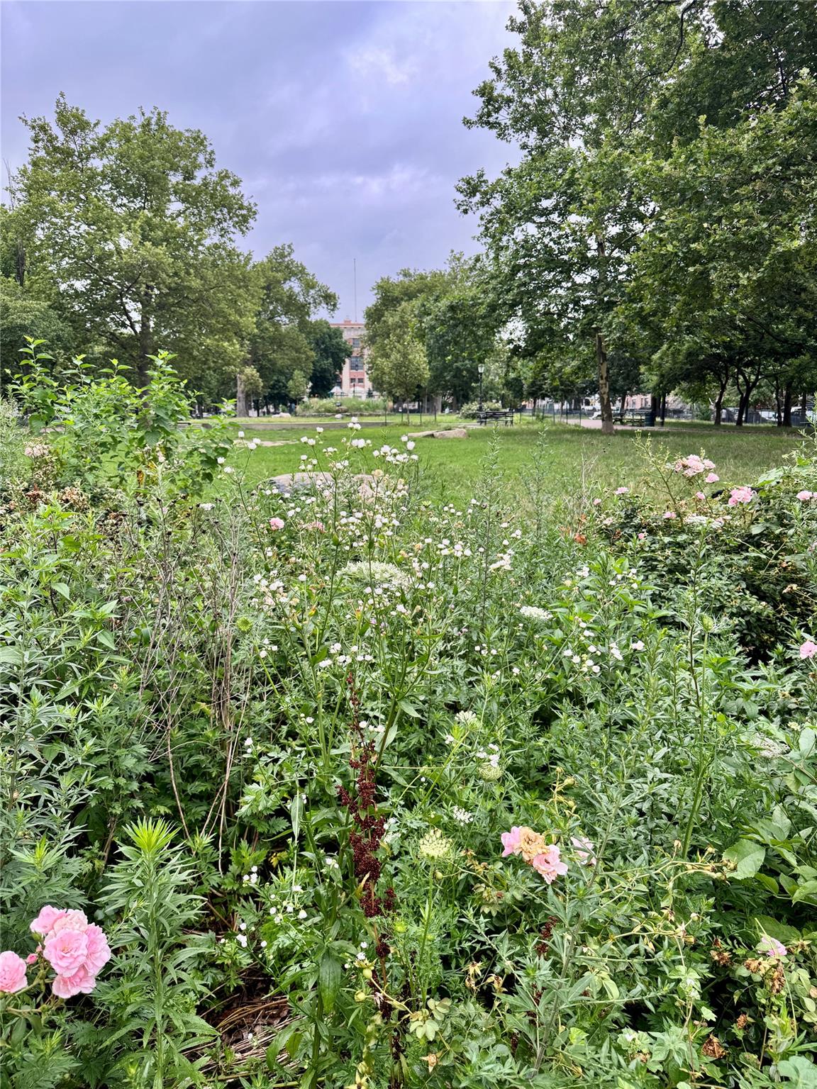 #19 photo, 219 Weirfield Street, ブルックリン区 Brooklyn , NY 11221