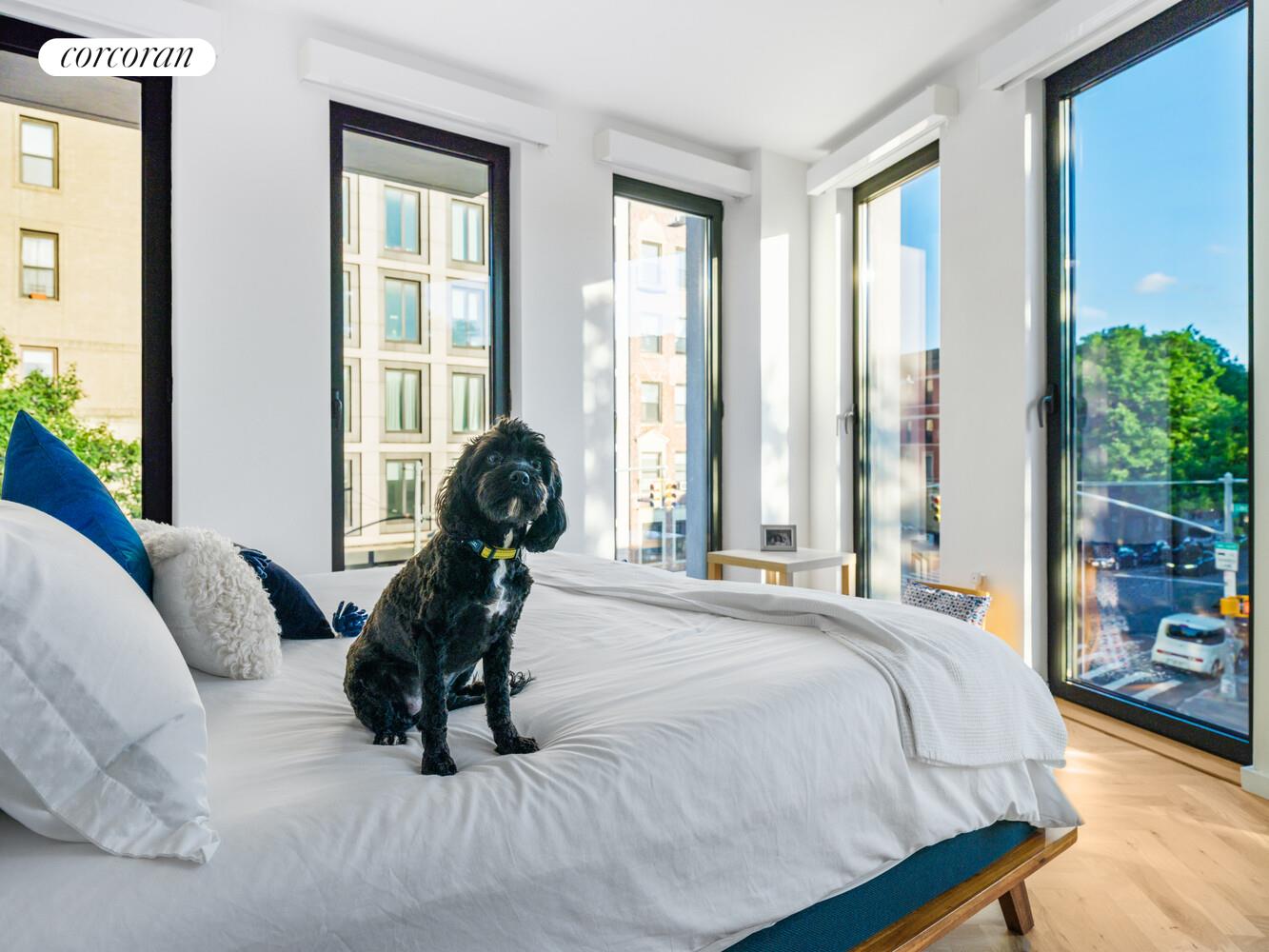 #11 photo, 805 WASHINGTON Avenue, Crown Heights , NY 11238