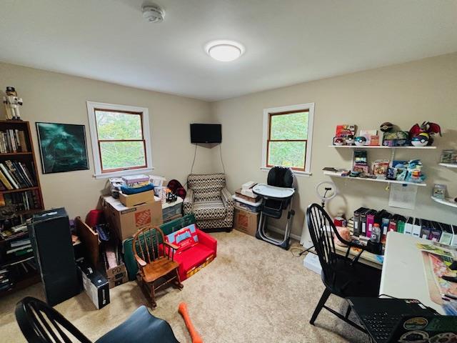 #15 photo, 107 Marshall Road, Salt Point , NY 12578