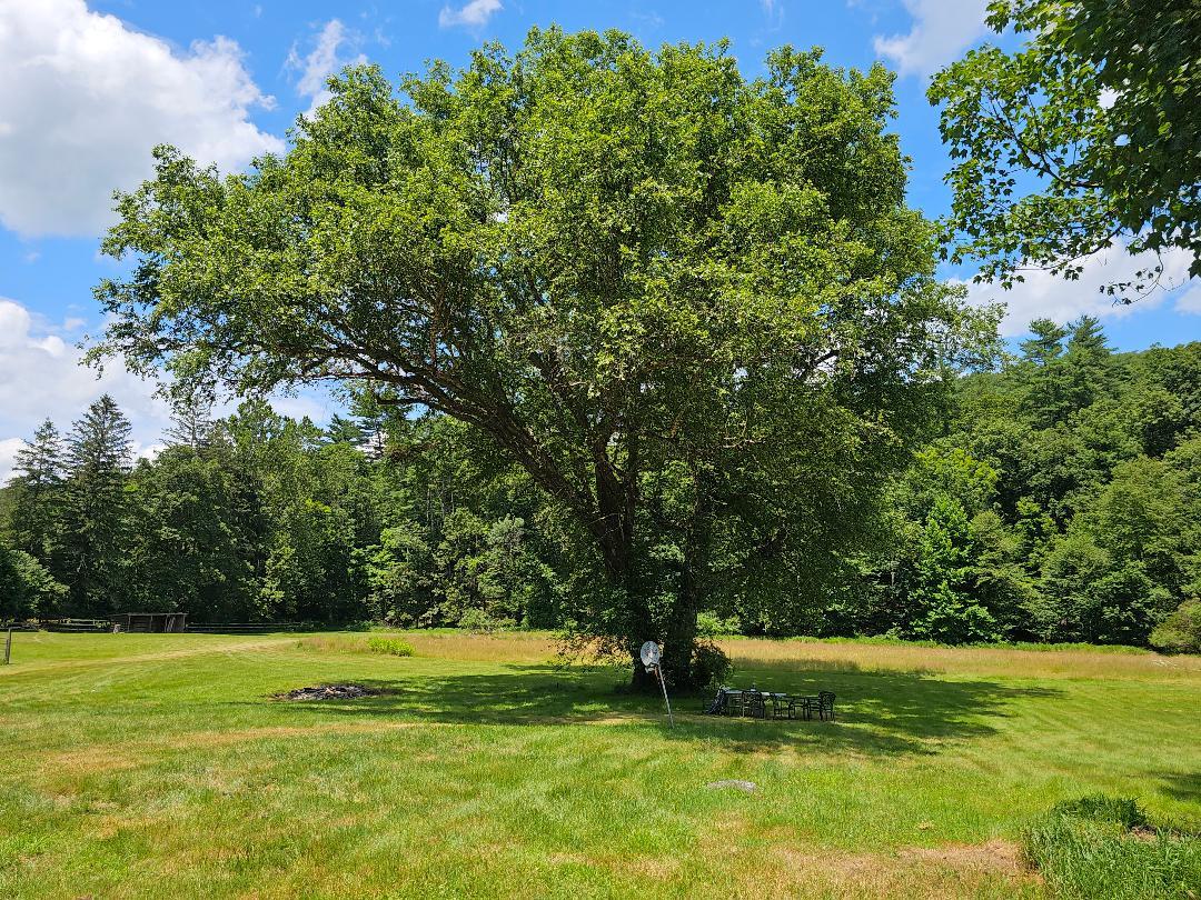 #11 photo, 624 Oakland Valley Rd, Cuddebackville , NY 12729