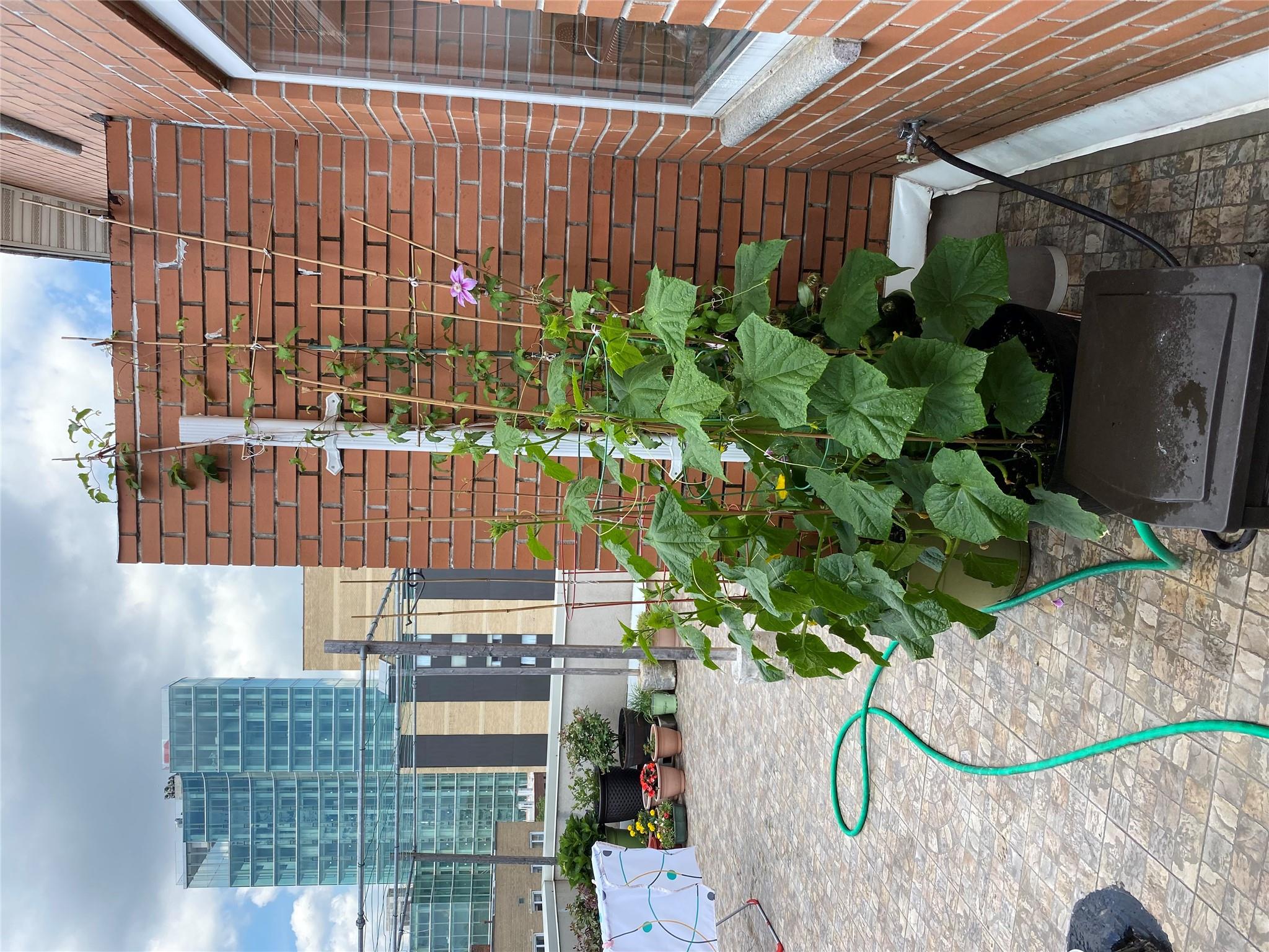 #2 photo, 14075 Ash Avenue, クイーンズ区 Flushing , NY 11355