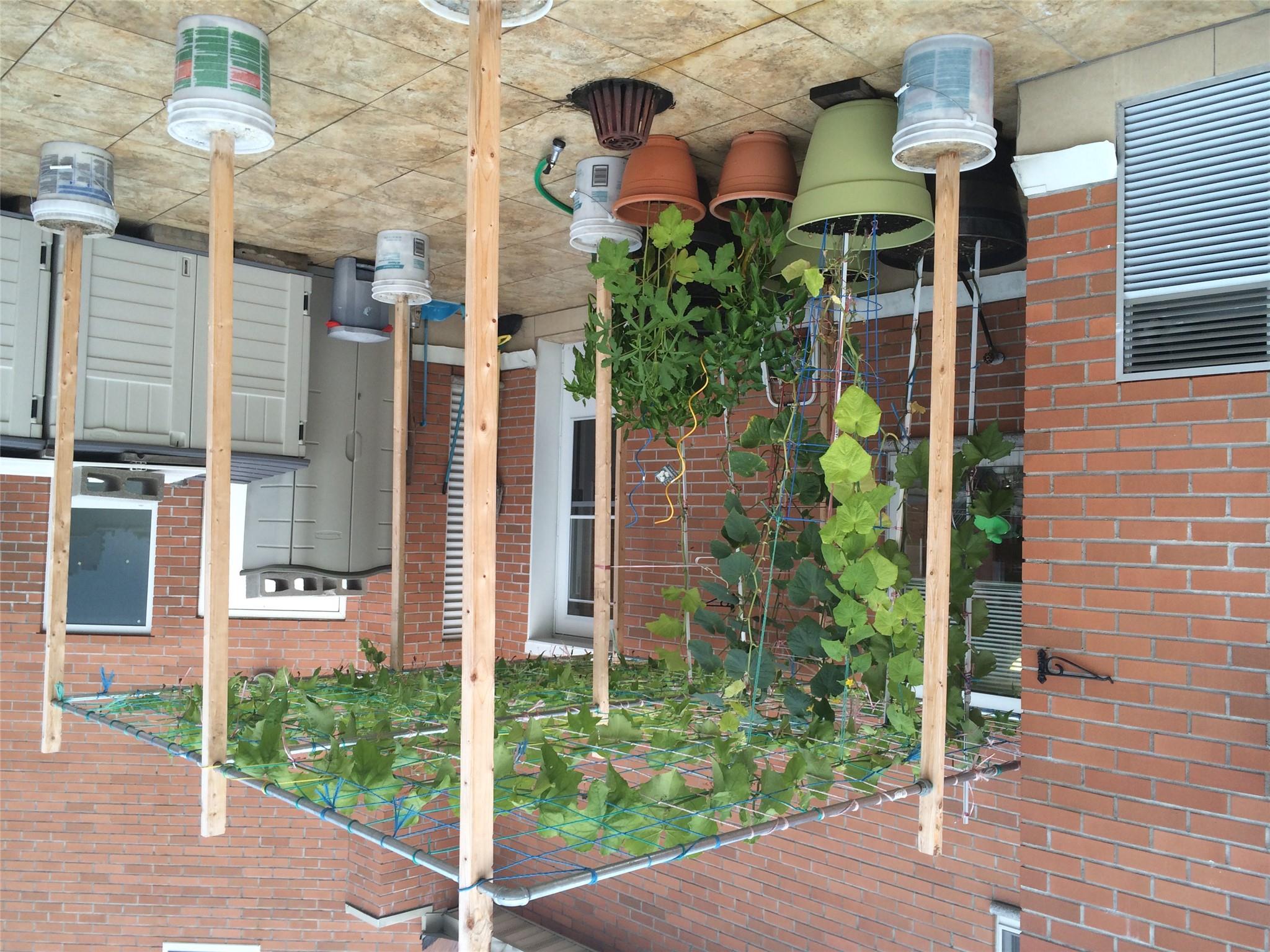 #5 photo, 14075 Ash Avenue, クイーンズ区 Flushing , NY 11355