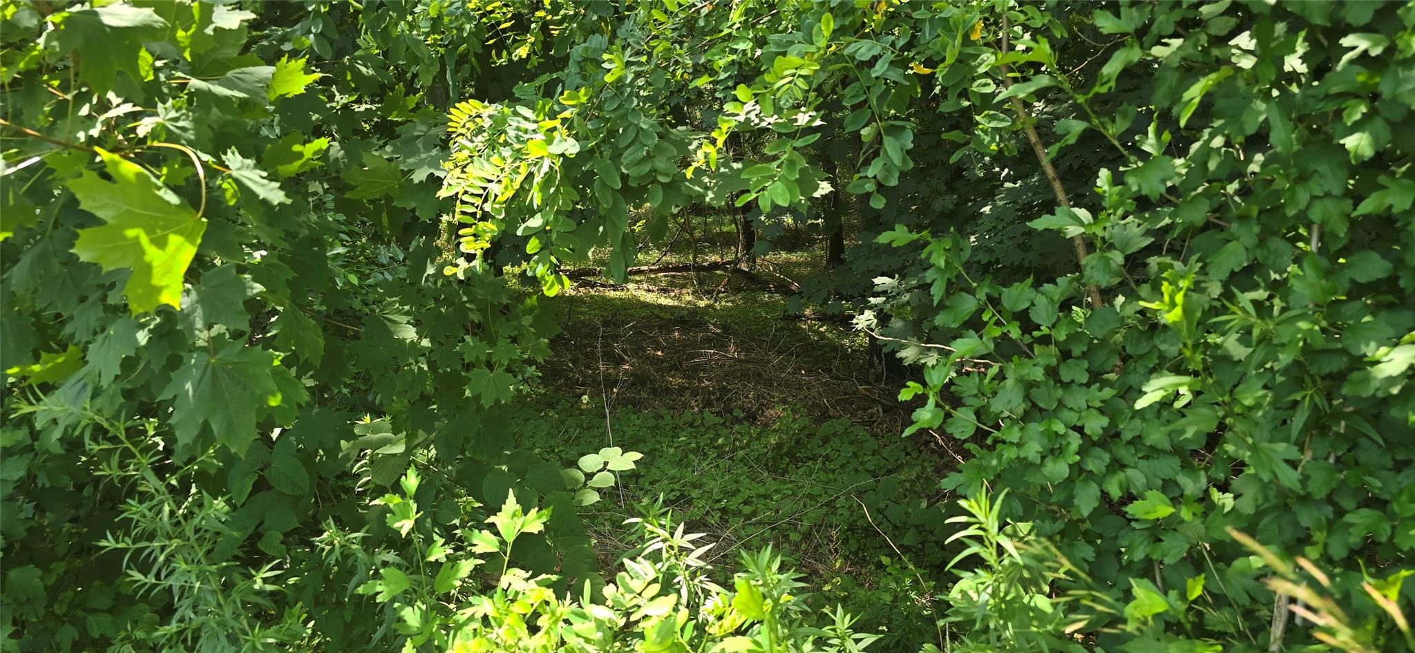 #3 photo, VL Yaphank-Middle Island Road, サフォーク郡 Yaphank , NY 11980