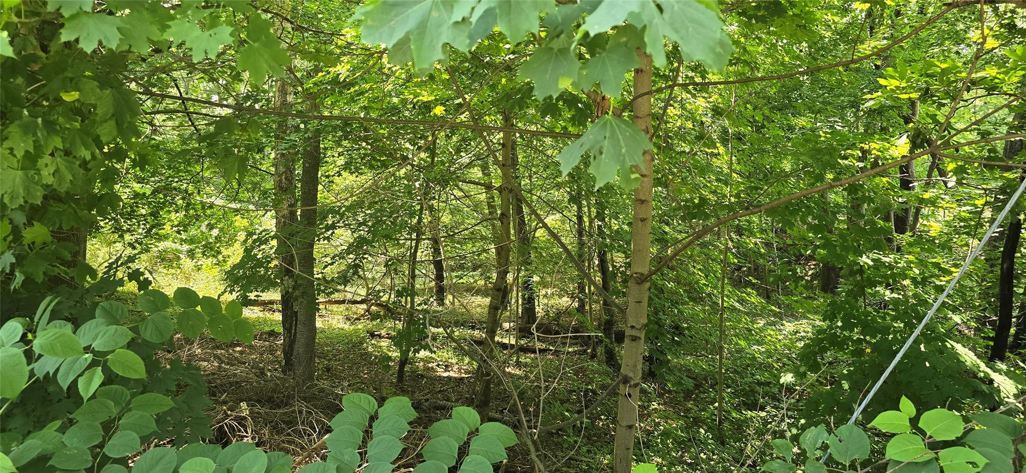 #4 photo, VL Yaphank-Middle Island Road, サフォーク郡 Yaphank , NY 11980