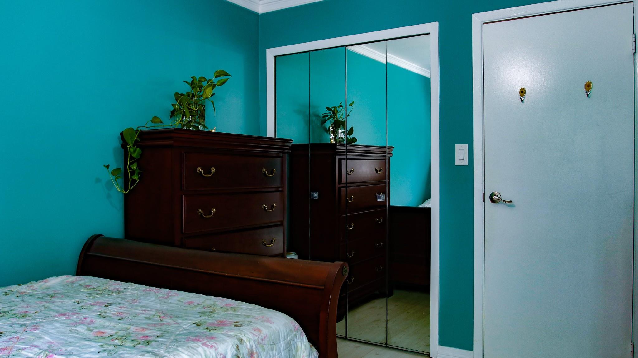 #16 photo, 11 Manors Drive, ناسو Jericho , NY 11753