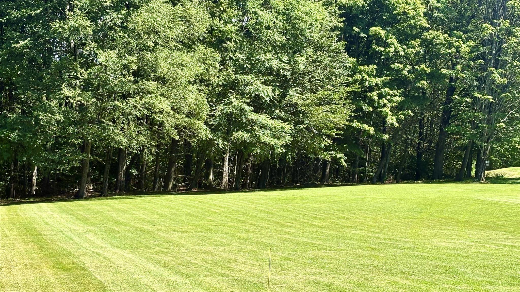 #9 photo, 105 White Sulphur Road, Swan Lake , NY 12783