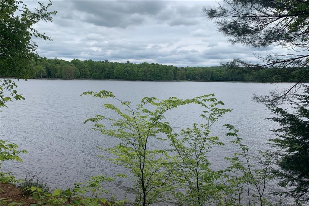 #1 photo, Lot12 Woodstone Trail, Bethel , NY 12720