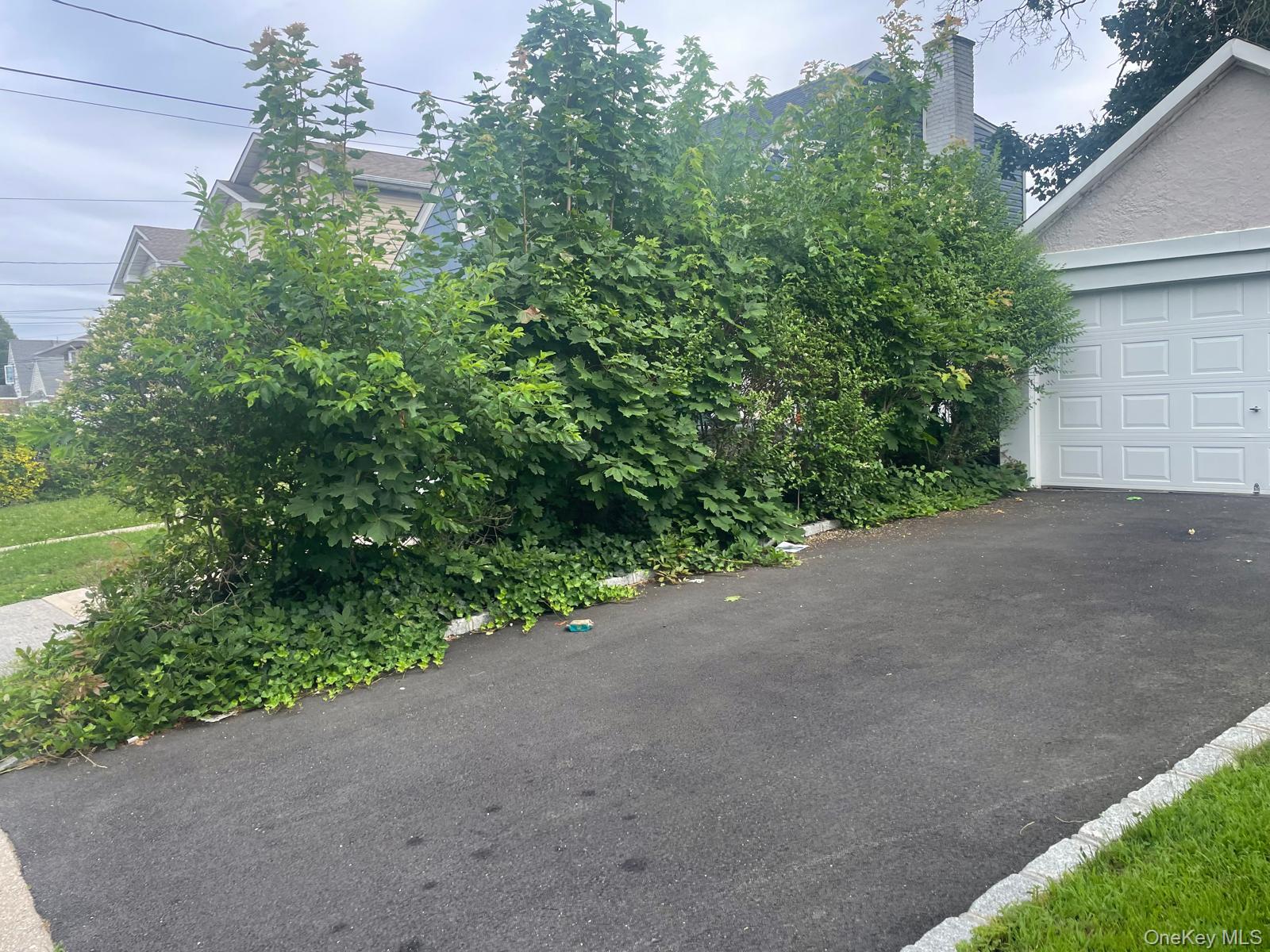 #5 photo, 44 Nassau Parkway, ナッソー郡 Hempstead , NY 11550