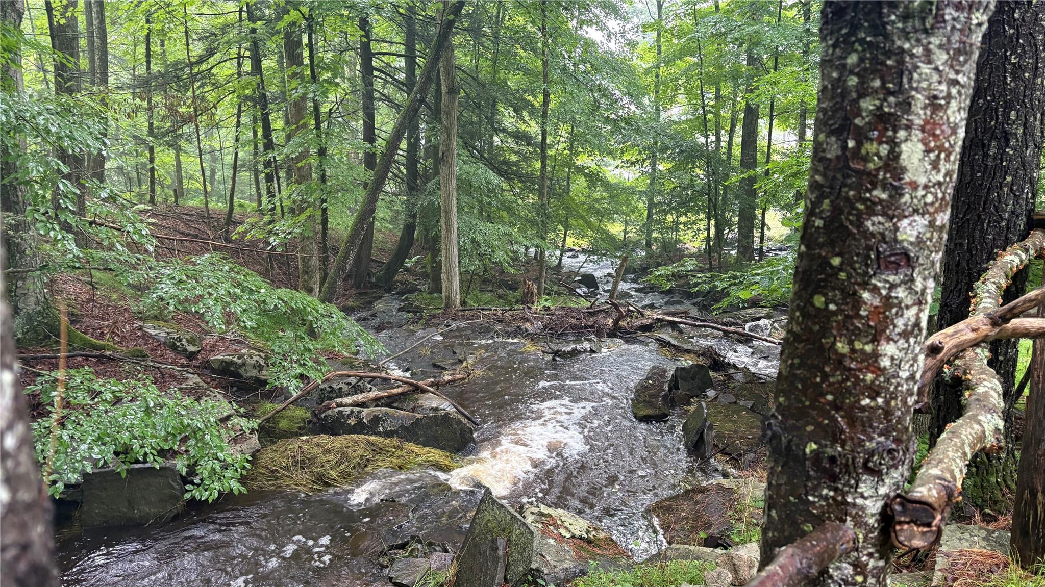 #12 photo, 20 Airport Road, Eldred , NY 12732