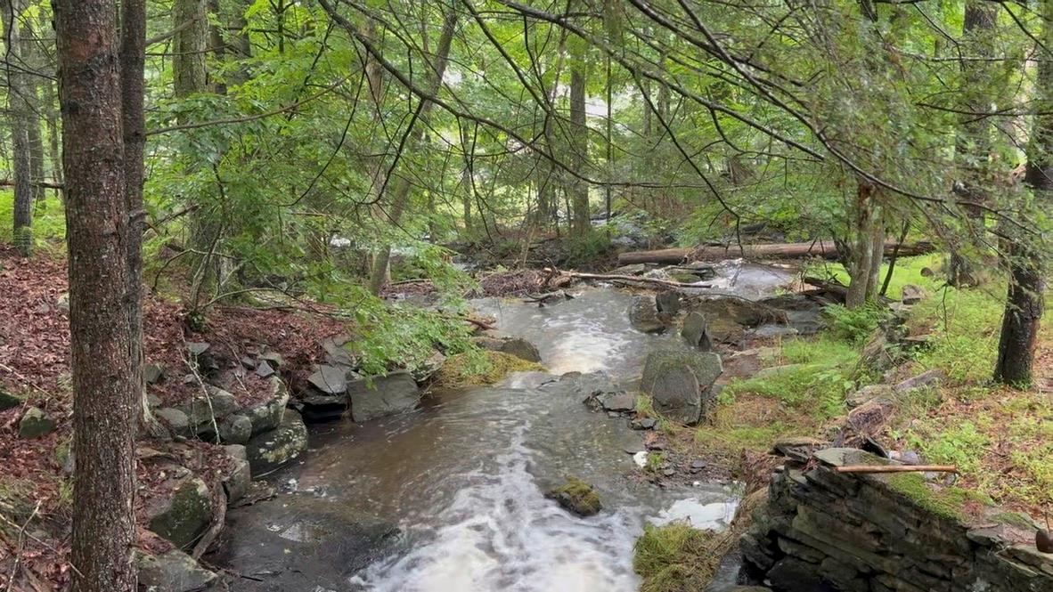 #13 photo, 20 Airport Road, Eldred , NY 12732